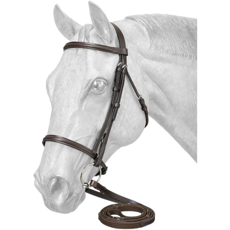 Raised Snaffle Bridle With Web Reins