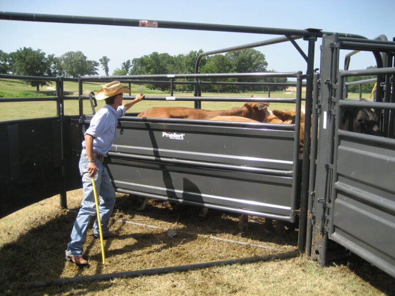 Cattle Sweep w/30' Adj. Alley, Preg Panels & Blocking Gate - ShopSpur ...